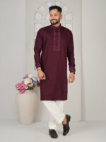 Luxury Premium Panjabi - Image 3