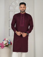 Luxury Premium Panjabi