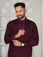 Luxury Premium Panjabi - Image 2