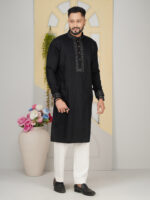Luxury Premium Panjabi - Image 2