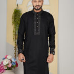 Luxury Premium Panjabi