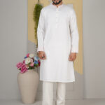 luxury premium panjabi